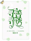 寻寻善诱攻略