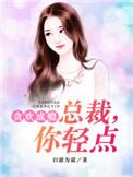 总裁轻点免费阅读全文