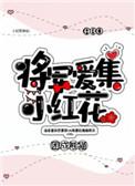 将军爱集小红花百度