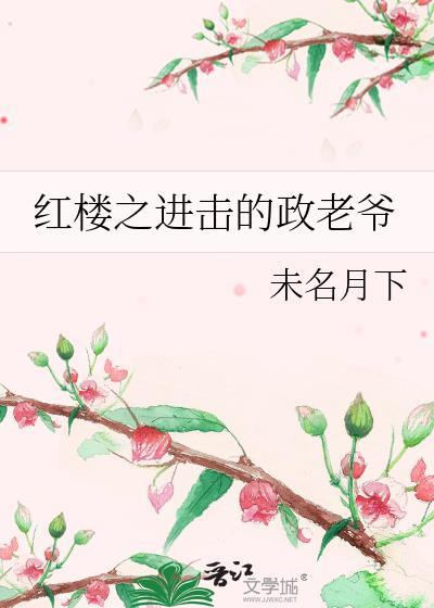 红楼之进击的政老爷txt番外