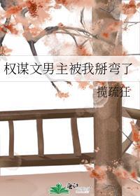 男主权谋天下