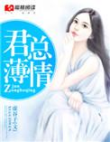 作者君薄宴的作品特点