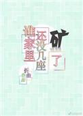 谁家还没几座矿txt
