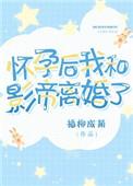 怀孕后我跟影帝离婚了txt