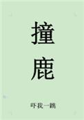 撞鹿txt百度