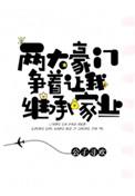两大豪门争着让我继承txt