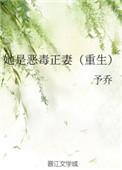 她是恶毒正妻(重生)晋江