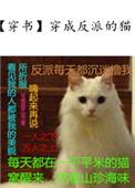 穿成反派娇宠的猫