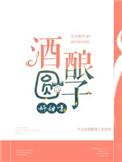 酒酿圆子不甜怎么办