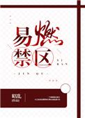 易燃禁区番外全集