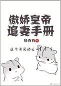 傲娇君王追妻记