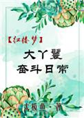 大丫鬟奋斗日常 红楼