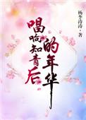 知青的歌