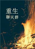 聊天群系统合集
