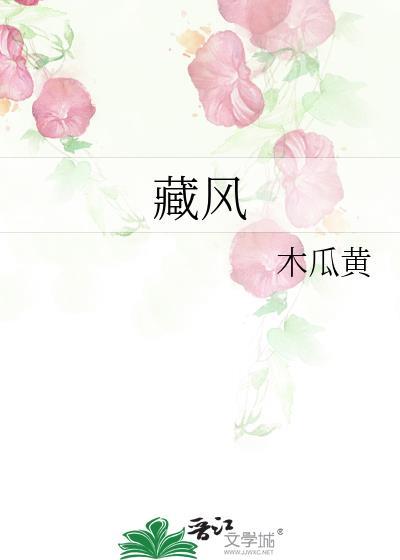 藏风纳气的风水图