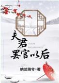 丈夫罢官以后