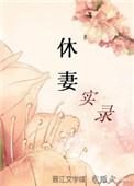 休妻实录晋江