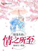 陆先生情之所至全文免费阅读