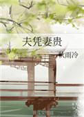 妻凭夫贵多少字