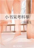 小书呆考科举晋江