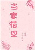 当家花旦可以形容男人吗