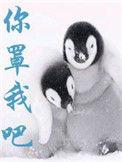 你罩我吧txt.百度