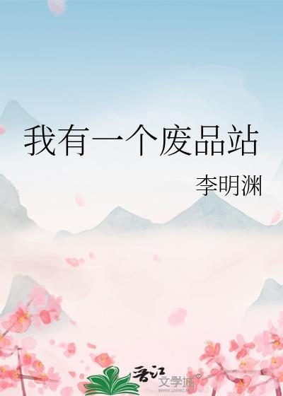 我有一个废品站作文