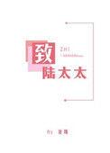 陆太太全集免费
