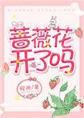 蔷薇花开什么意思?