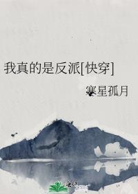 被招婿了_方便面君