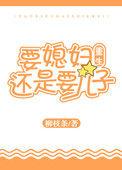 要媳妇还是要儿子重生