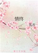 情终by孤君讲的是什么