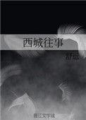 西城往事结局