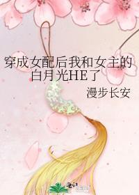 马甲扮演