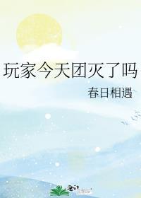 玩家今天团灭了吗免费阅读