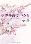 穿成圣母文中女配TXT