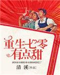 重生七零年代之有点甜