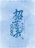 你就不该招惹我