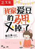我家爱豆的马甲又掉了晋江文学城