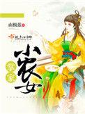 掌家小农女讲的什么