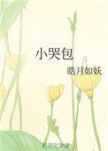 小哭包在线阅读全文