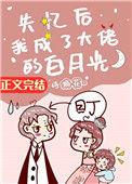 失忆后我成了大佬的白月光耿其心