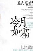 冷月如霜讲的什么