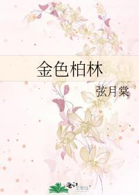 金色柏林txt
