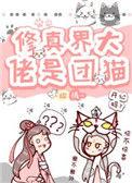 修真界大佬要圈粉全本