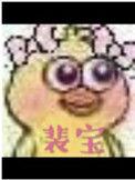 裴宝兰将军