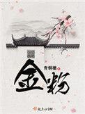 金粉全文免费
