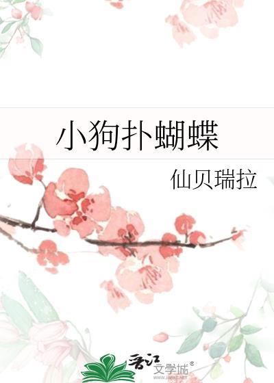 狗 蝴蝶