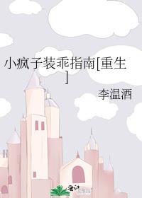 小疯子视频