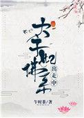 太子妃出走佛系出走
